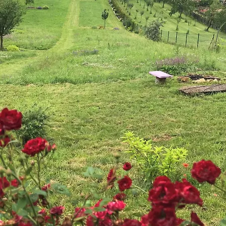 U Vinare - Tiny House Lägenhet Radejov