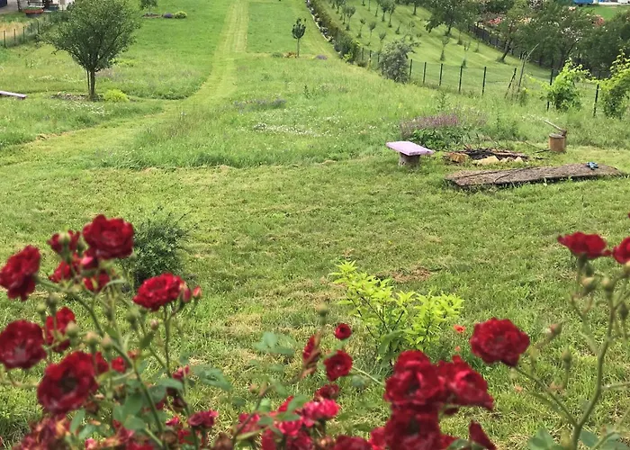 U Vinare - Tiny House Διαμέρισμα Radejov